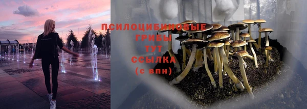 амфетамин Алексин