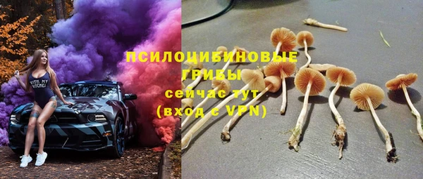 apvp Аркадак