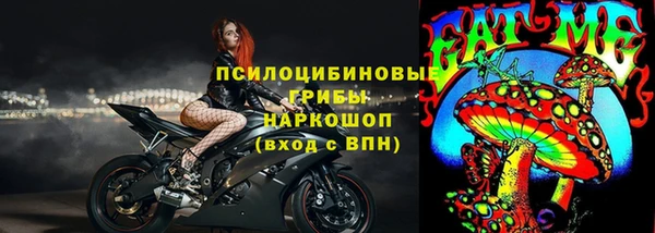 apvp Аркадак