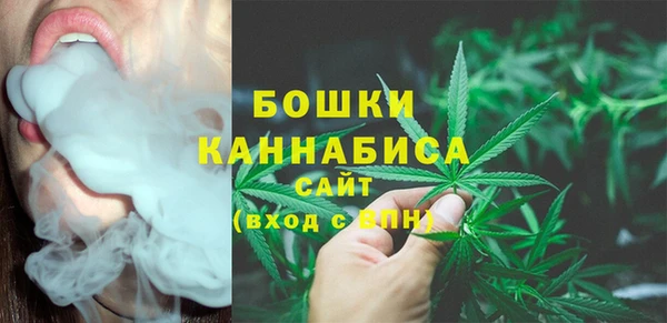 apvp Аркадак