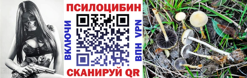 Псилоцибиновые грибы MAGIC MUSHROOMS  как найти   Чебаркуль 